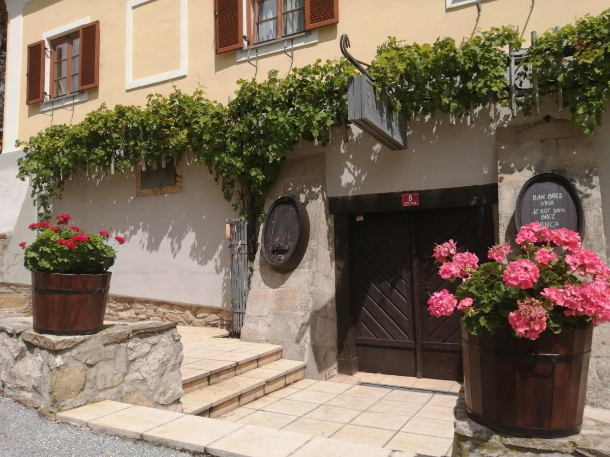 Apartmaji Svetinje Apartment Ivanjkovci ภายนอก รูปภาพ