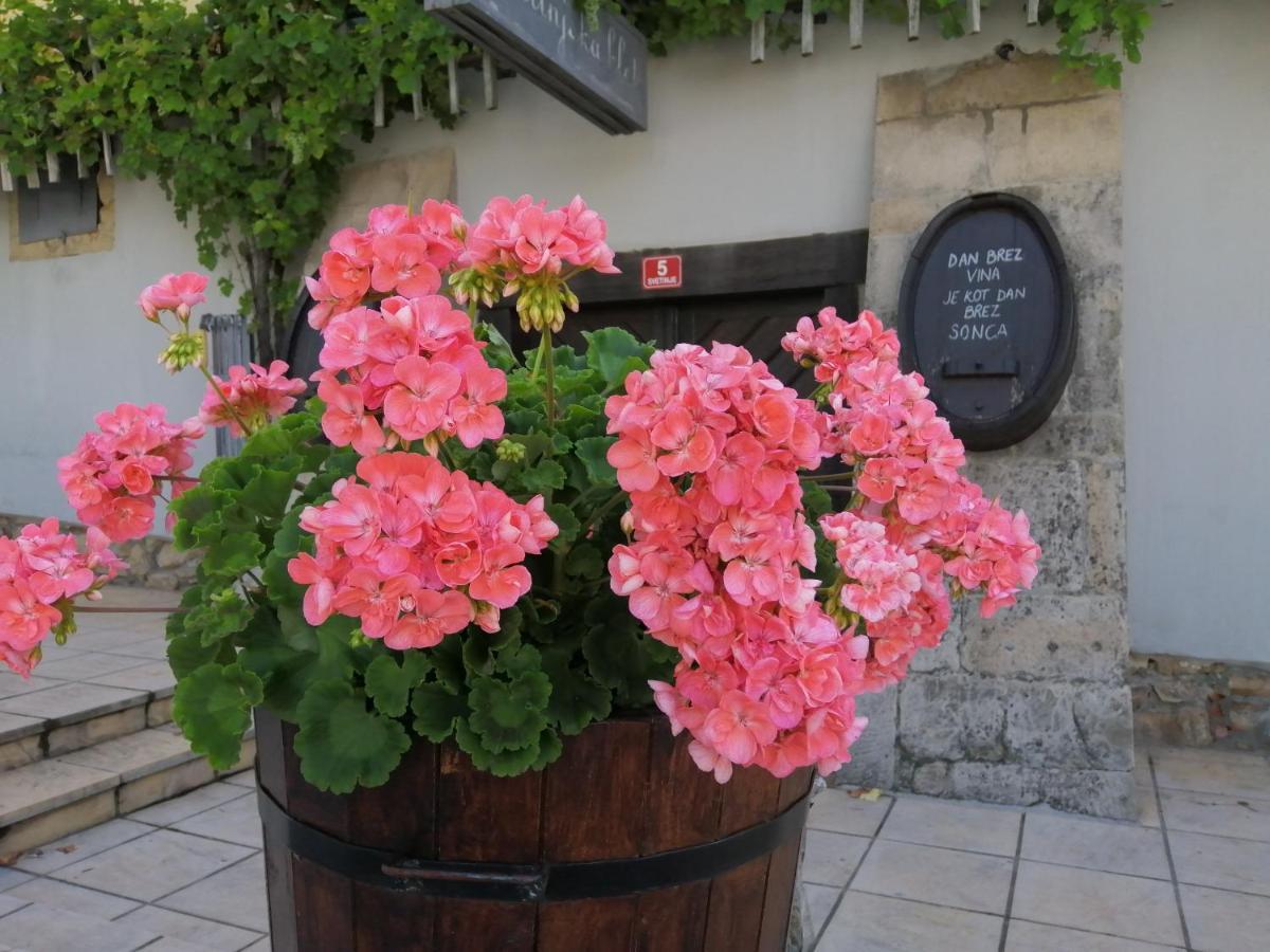 Apartmaji Svetinje Apartment Ivanjkovci ภายนอก รูปภาพ